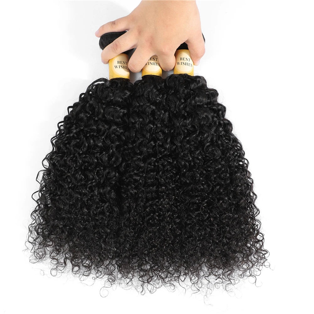 12A Burmese Kinky Curly Human Hair Bundles